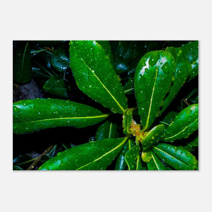 796a5df3-207a-4926-870e-e5f1cef90dbc