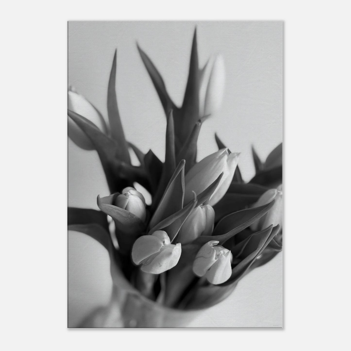 79867175-c6b8-41fe-a4d5-611652982d0e