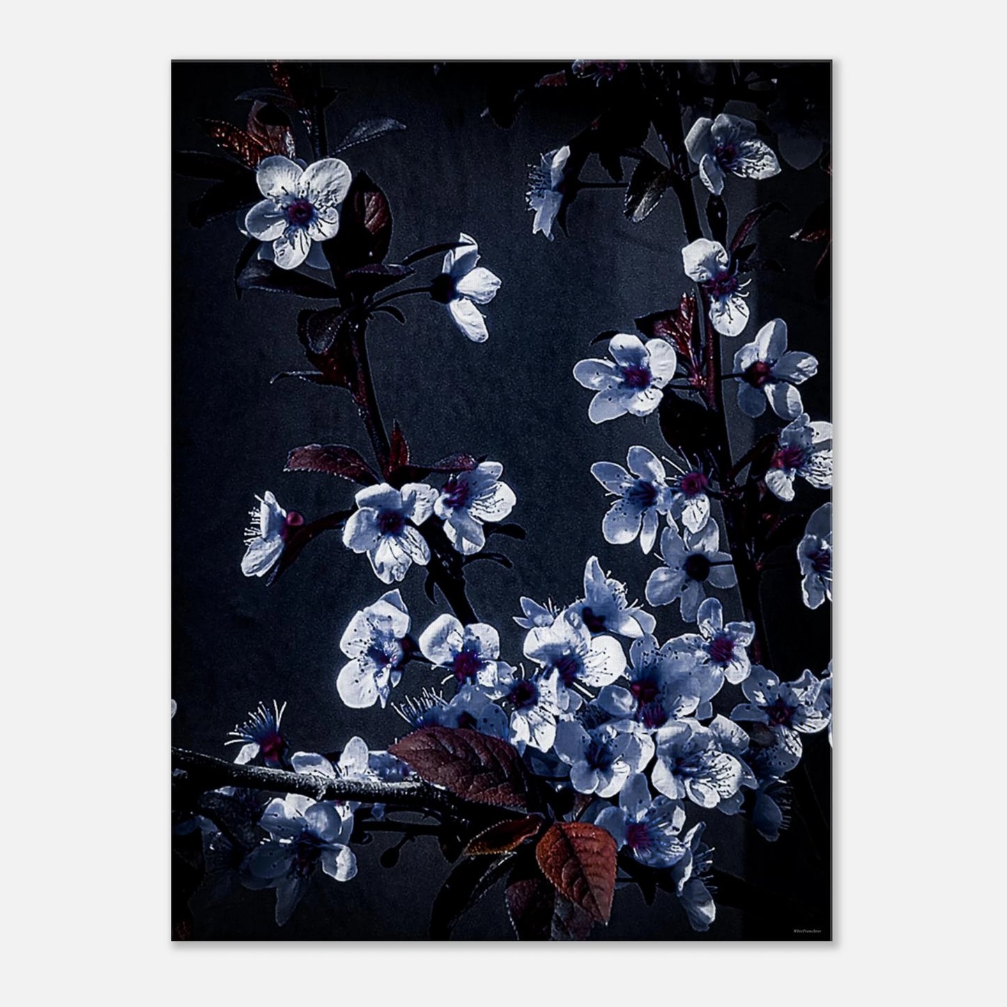 799b9a3d-1912-4e2c-ab20-740029cf3e5f