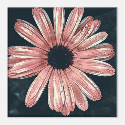 79f04b91-6d34-4dc1-a7ef-0931f0f641af