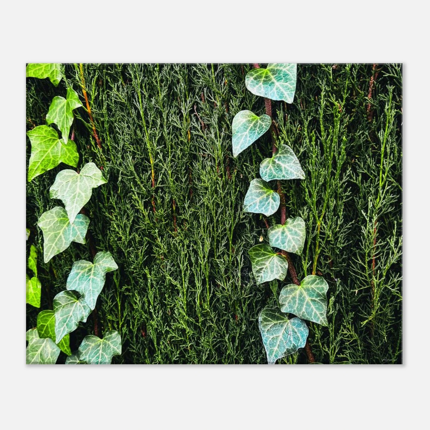 7a35ffb0-c31c-4524-91d0-c7fc0b30387f