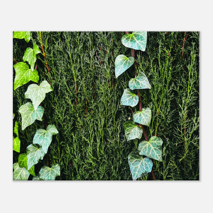 7a35ffb0-c31c-4524-91d0-c7fc0b30387f