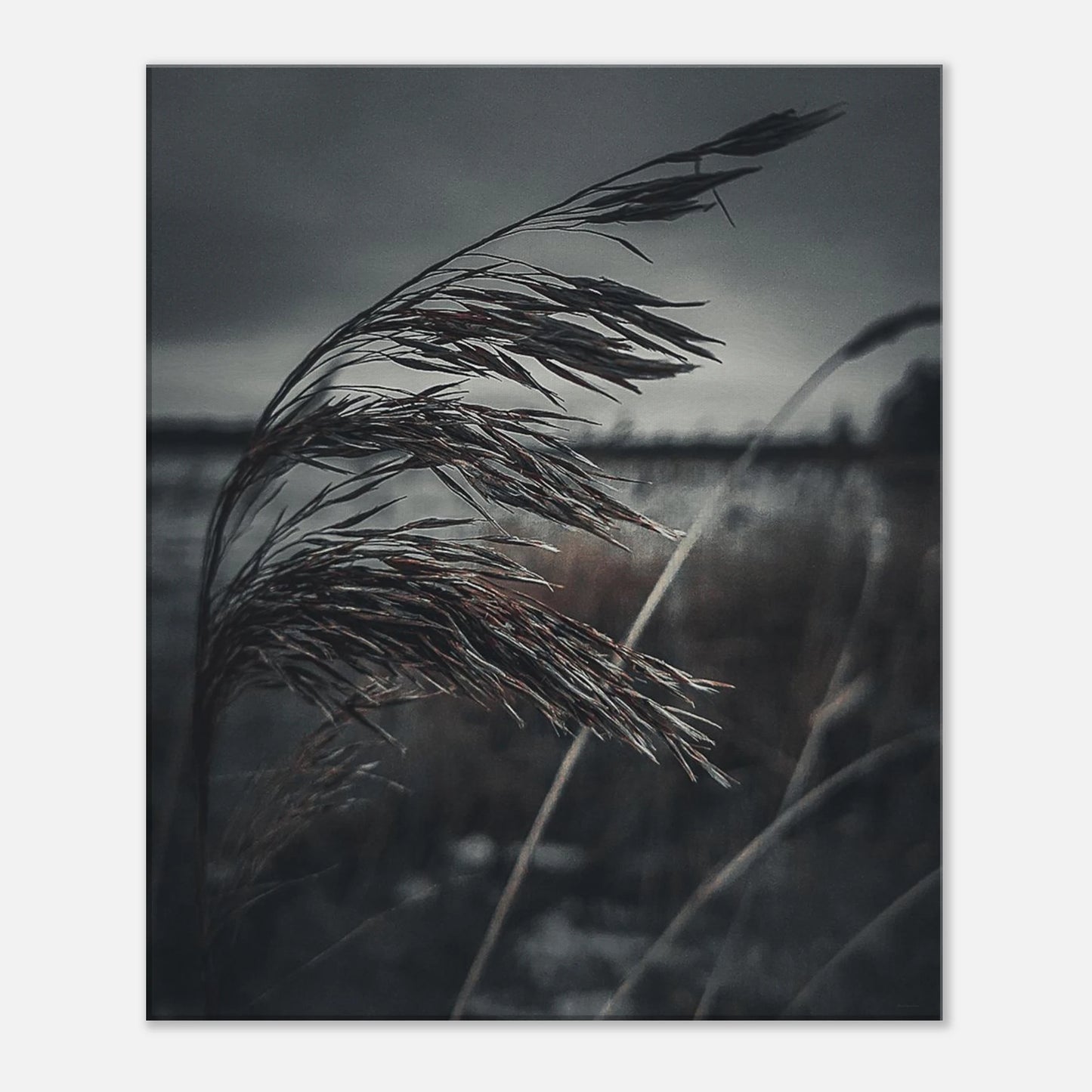 7a368cde-6d67-48fd-97c2-84da9f752155