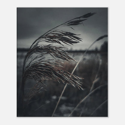 7a368cde-6d67-48fd-97c2-84da9f752155