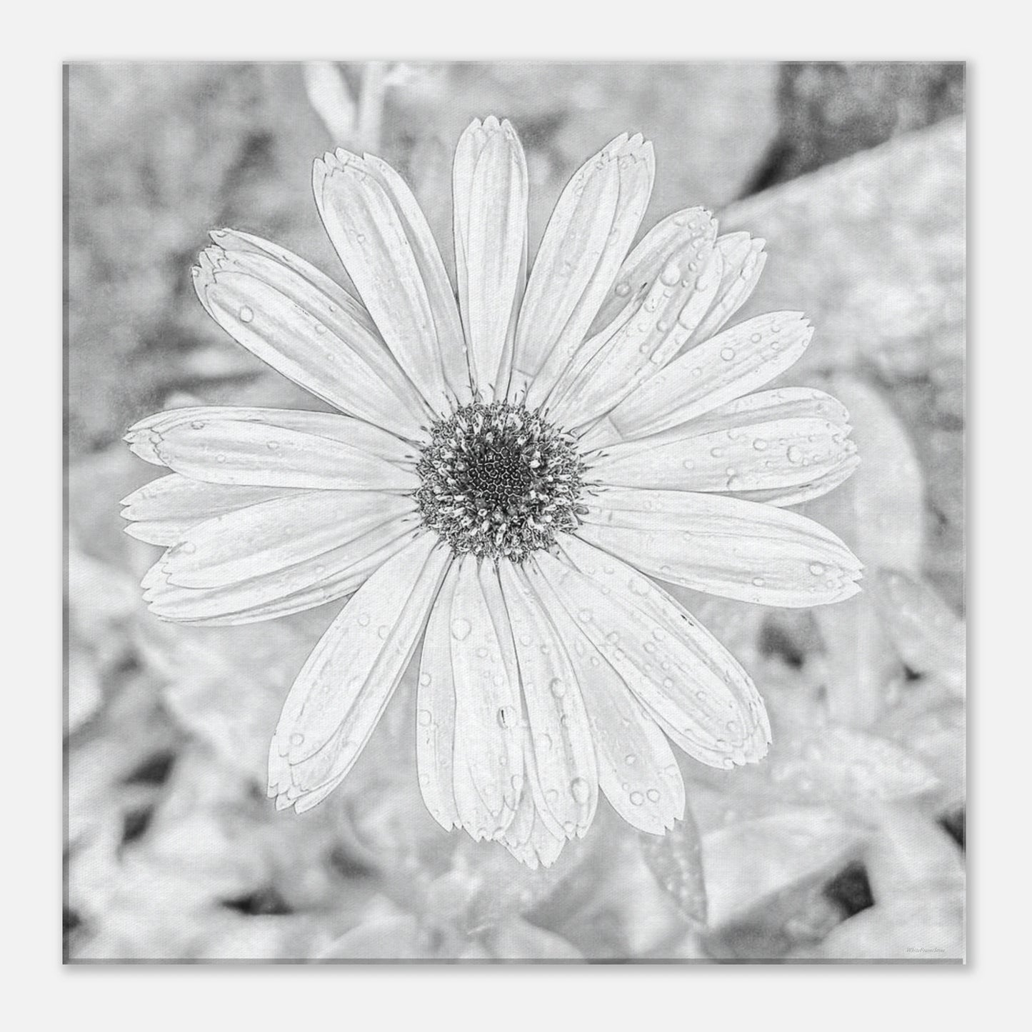 7a376a7a-8b44-48d6-ada6-02375a91516d