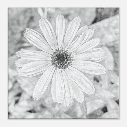 7a376a7a-8b44-48d6-ada6-02375a91516d