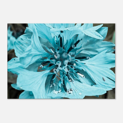 7a4e0cb5-7d4e-48f6-aa11-fa9fa8194141