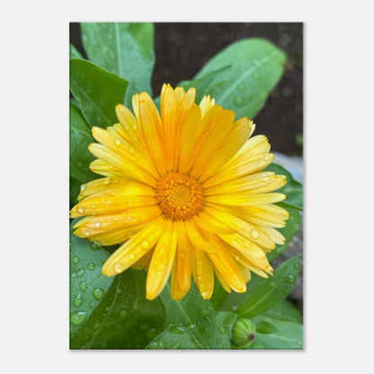 7ae40f1e-9908-43ad-961e-3b9bad25a9d2