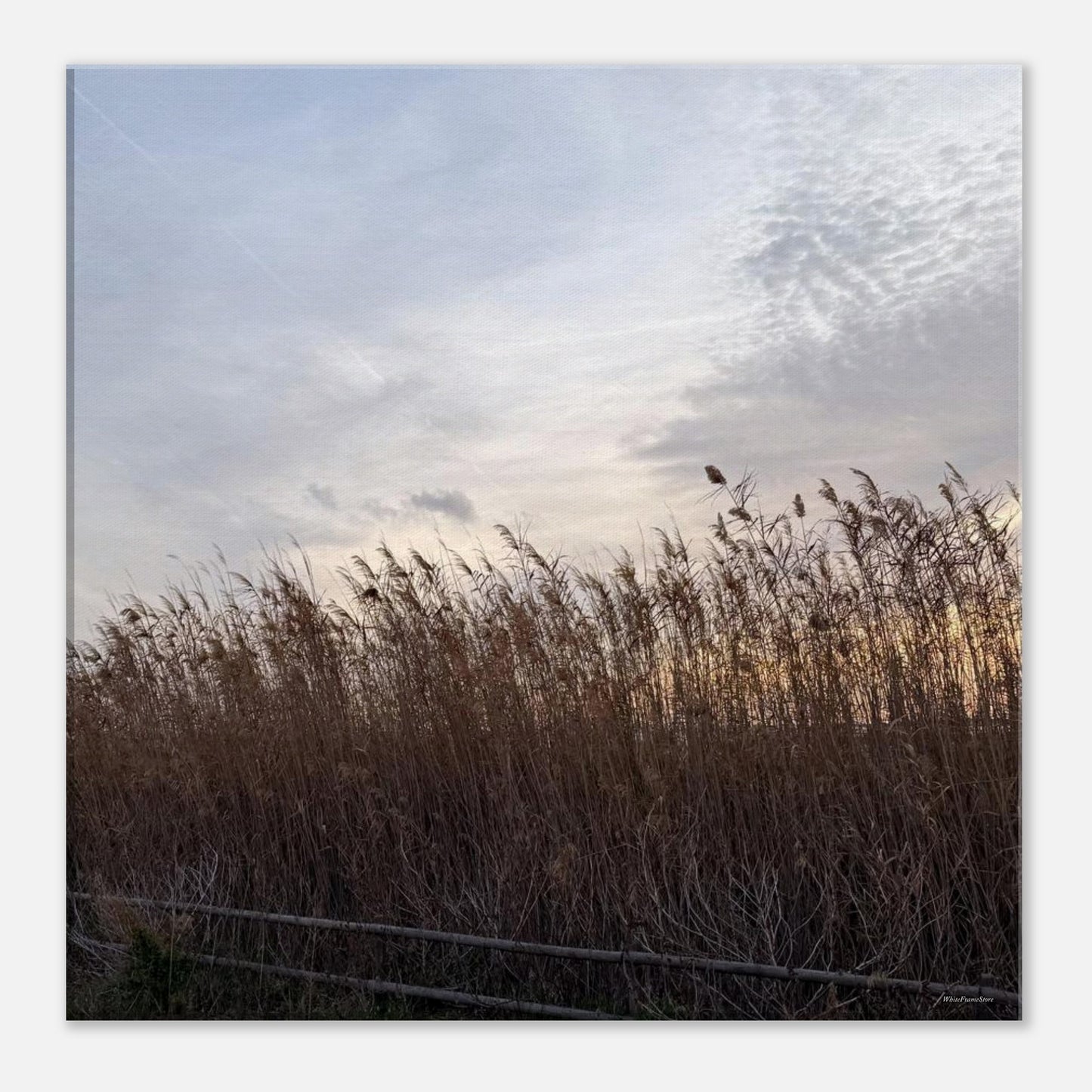 7ae427dd-af50-4cff-8a17-c84ea7e5d6e1