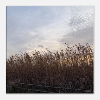 7ae427dd-af50-4cff-8a17-c84ea7e5d6e1