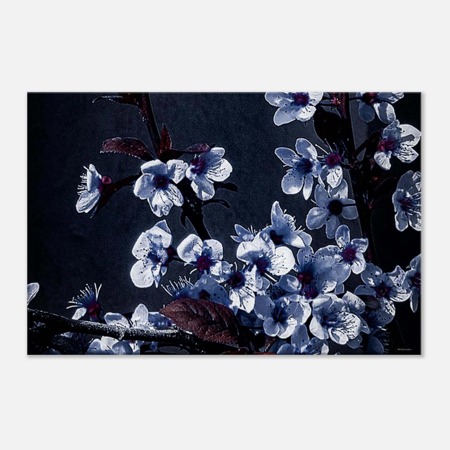 7aea59f5-ecd1-4b4b-8022-9272ef1aca3e