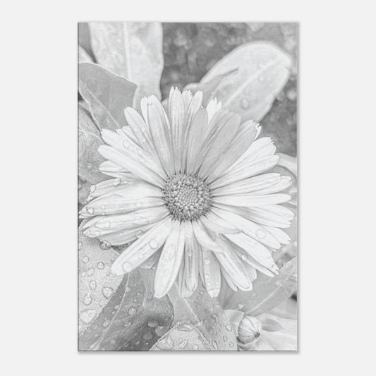 7b23262a-26c4-419e-887a-6169a91341c3