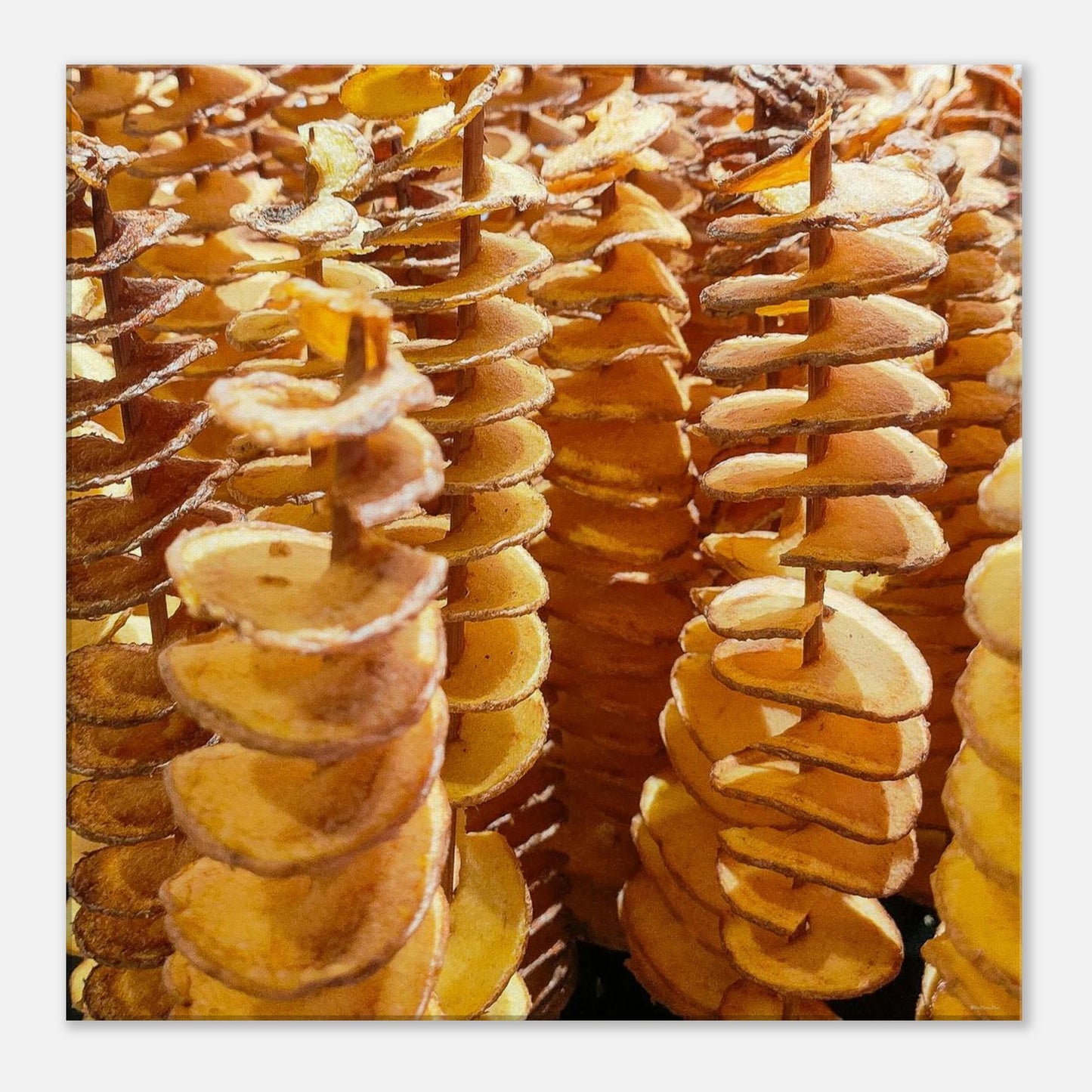 7b30a6af-306d-4f27-8d7b-dc22ae770129