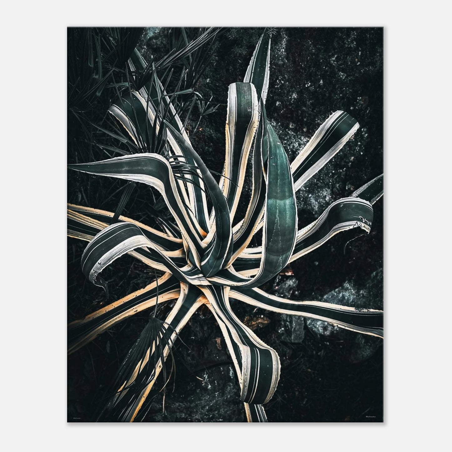 7b5a7cc0-efd4-418a-a4a9-c828231bb012