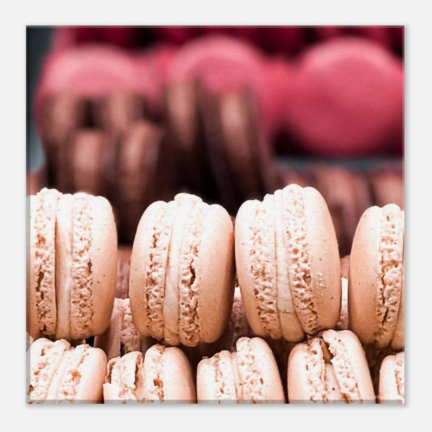 7b5dfe98-4421-4b78-bd7a-1eeba0c473ef