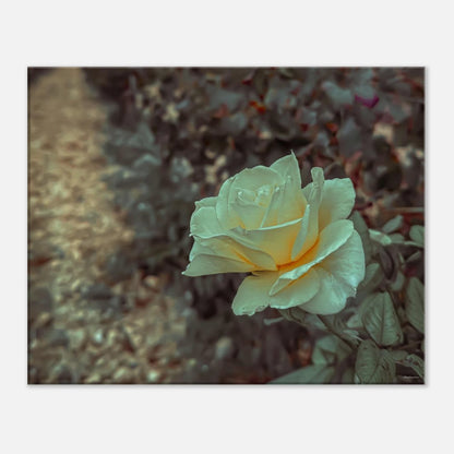 7b78748f-b7a8-468b-b375-67aae7d30f01