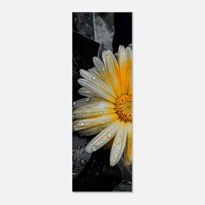 7b8ed89a-d80d-4144-8780-e7a769149ee2