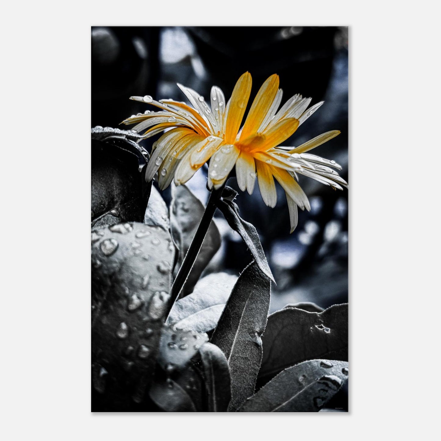 7b8fe973-e875-4b61-b314-1a4c5c1649e4