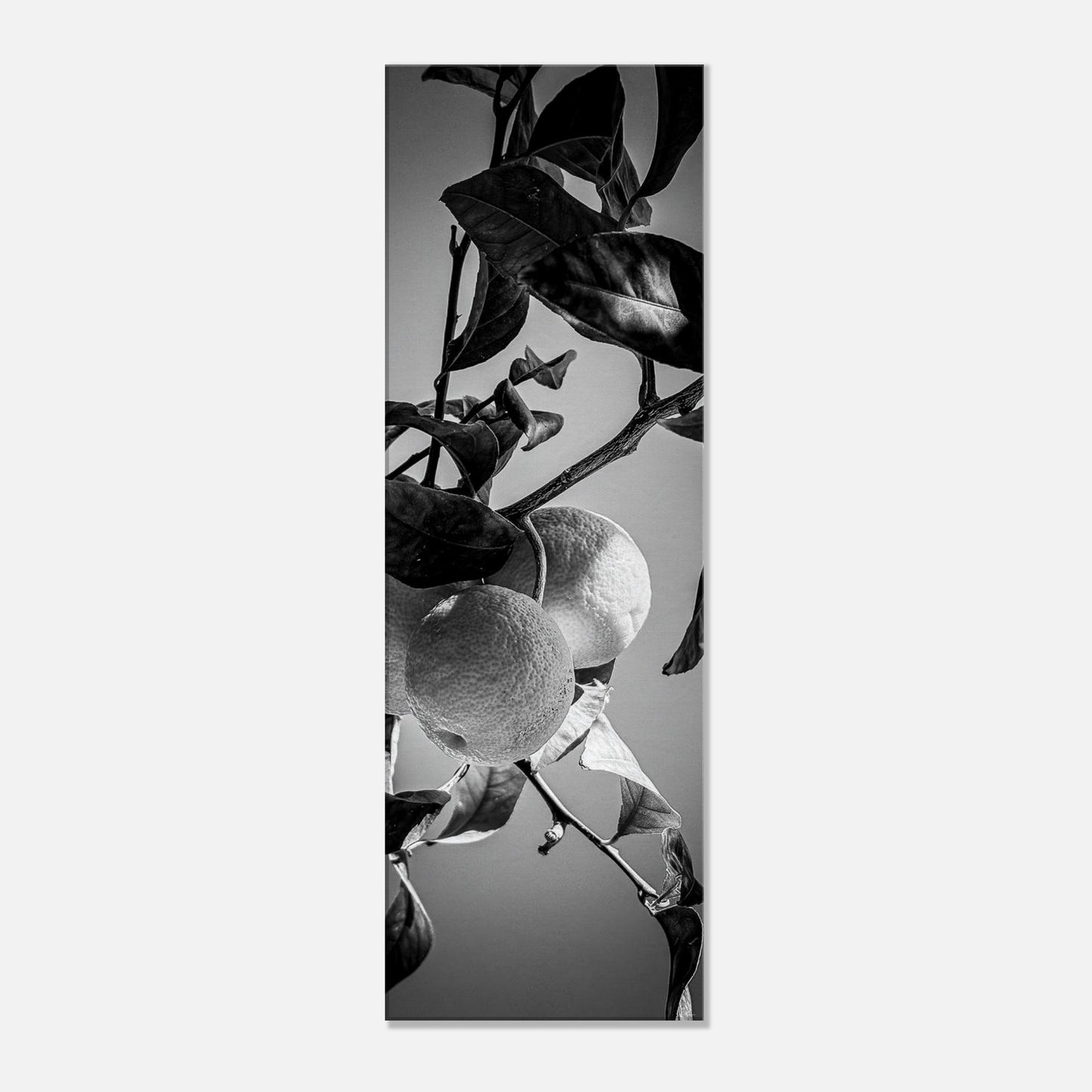7b9a7f50-6b58-464e-9631-2d0b338b80f2