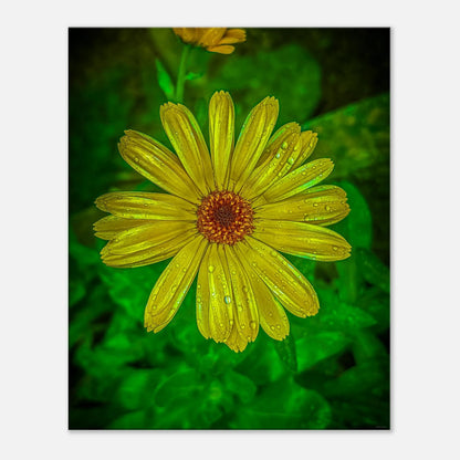 7bb2deef-bcd5-4c0d-9fee-34a69fb8e425