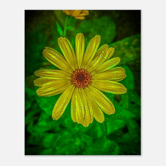 7bb2deef-bcd5-4c0d-9fee-34a69fb8e425