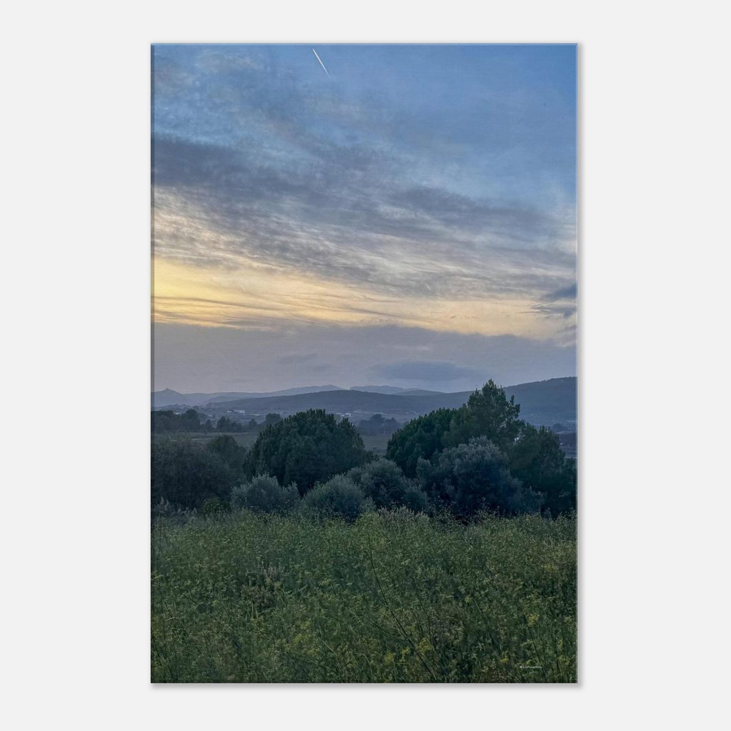 7bc26f61-a540-4b02-8724-40c1da7470c9