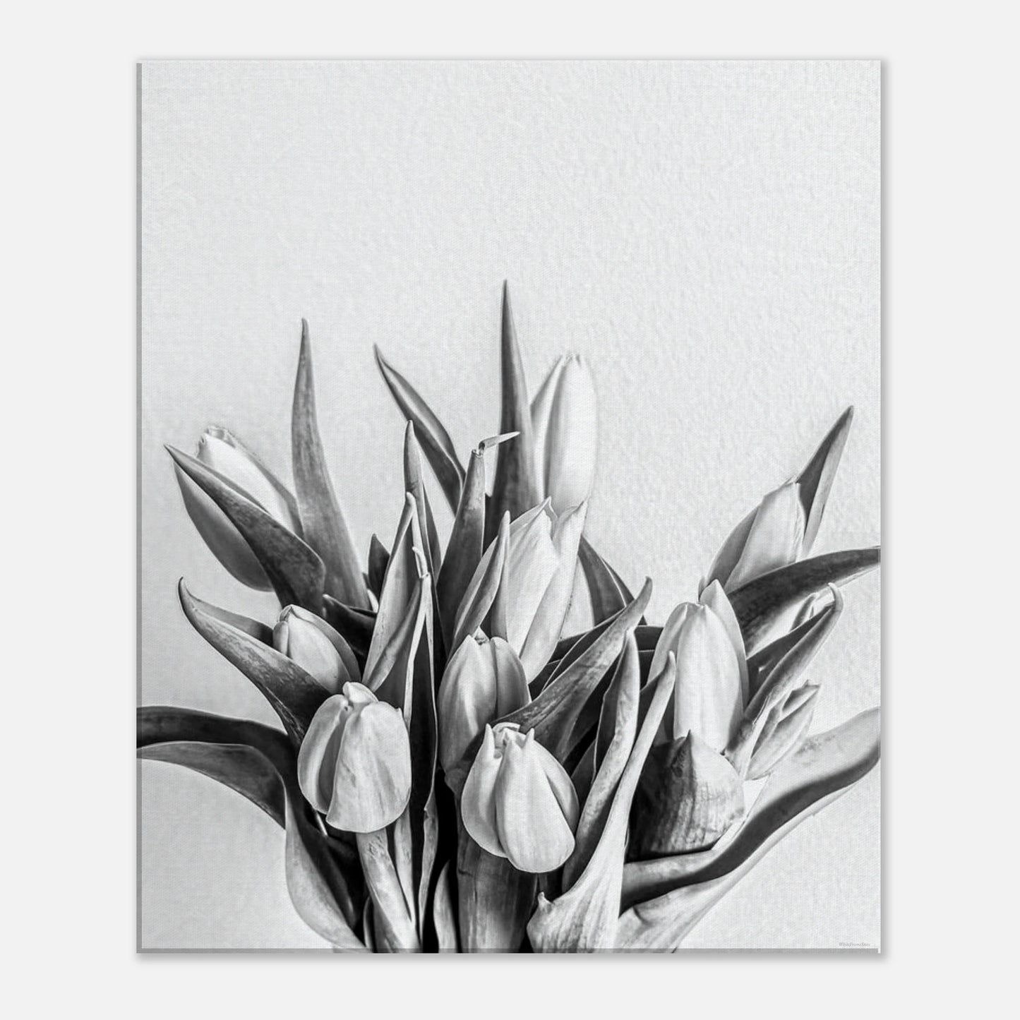 7bd424c5-8a22-4efd-961f-b2aad7f3a931