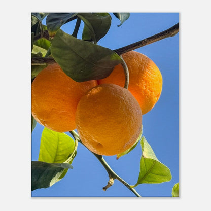 7c1c0803-1369-4ef8-a3d4-c19365c51205