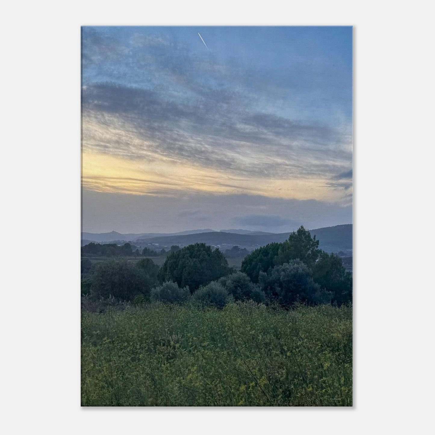 7c322bb4-b237-4ec4-83c8-1ab2117812d0