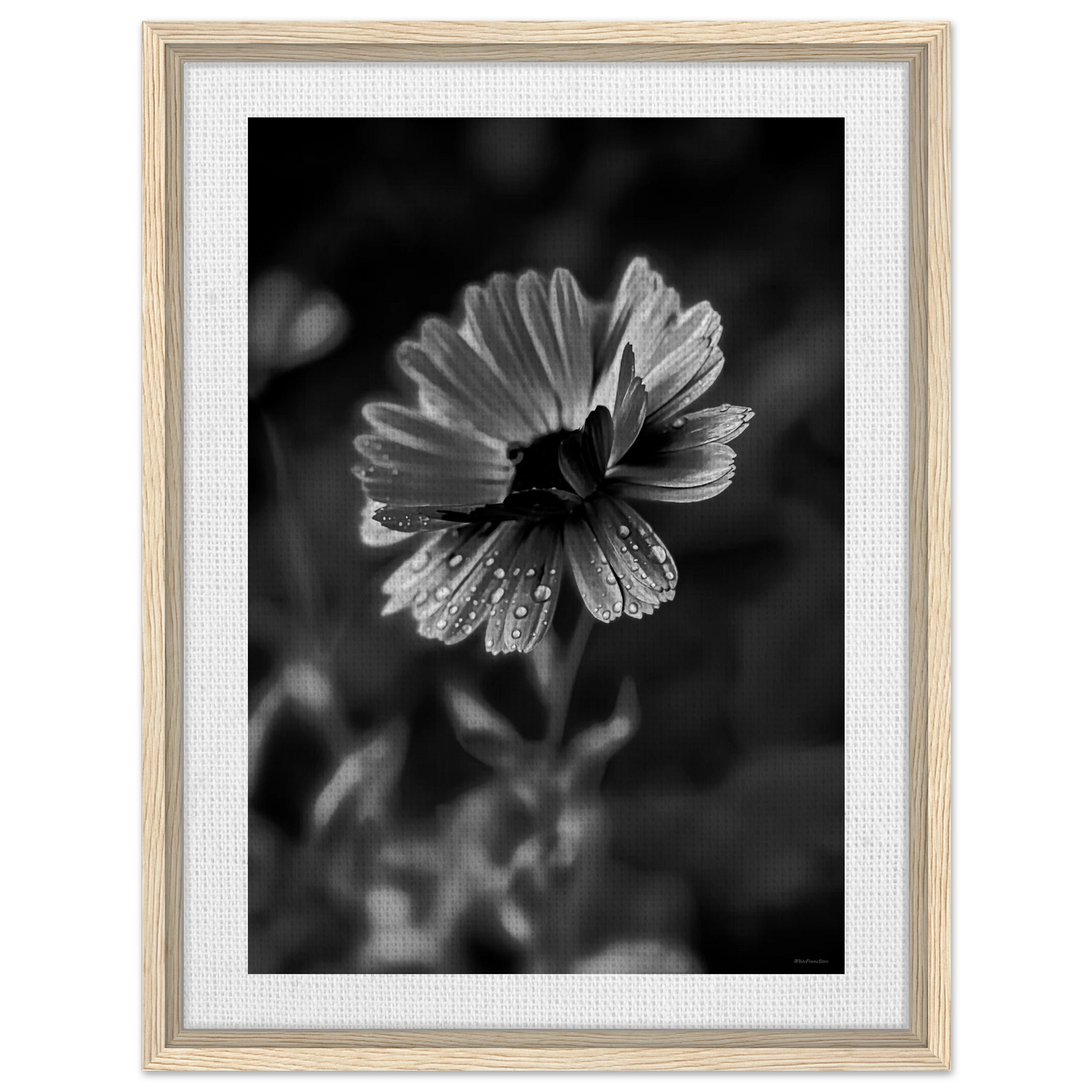 7c566629-6382-4f19-98fa-5ea8263eee64