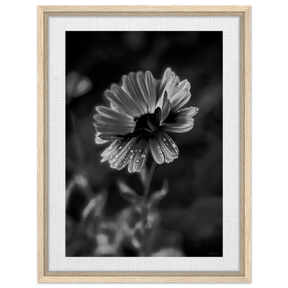 7c566629-6382-4f19-98fa-5ea8263eee64