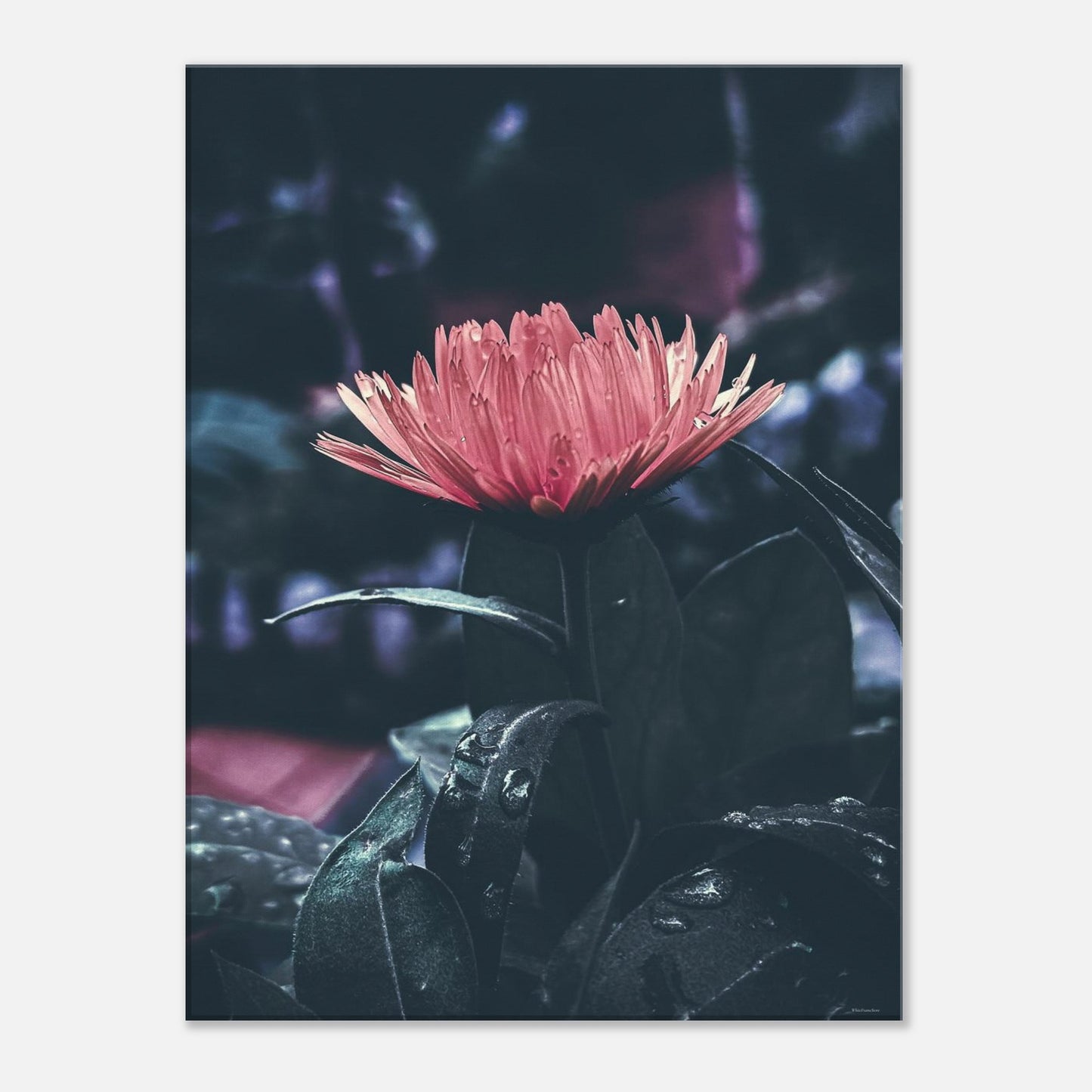 7c67979c-2564-4771-88ec-207931beb900