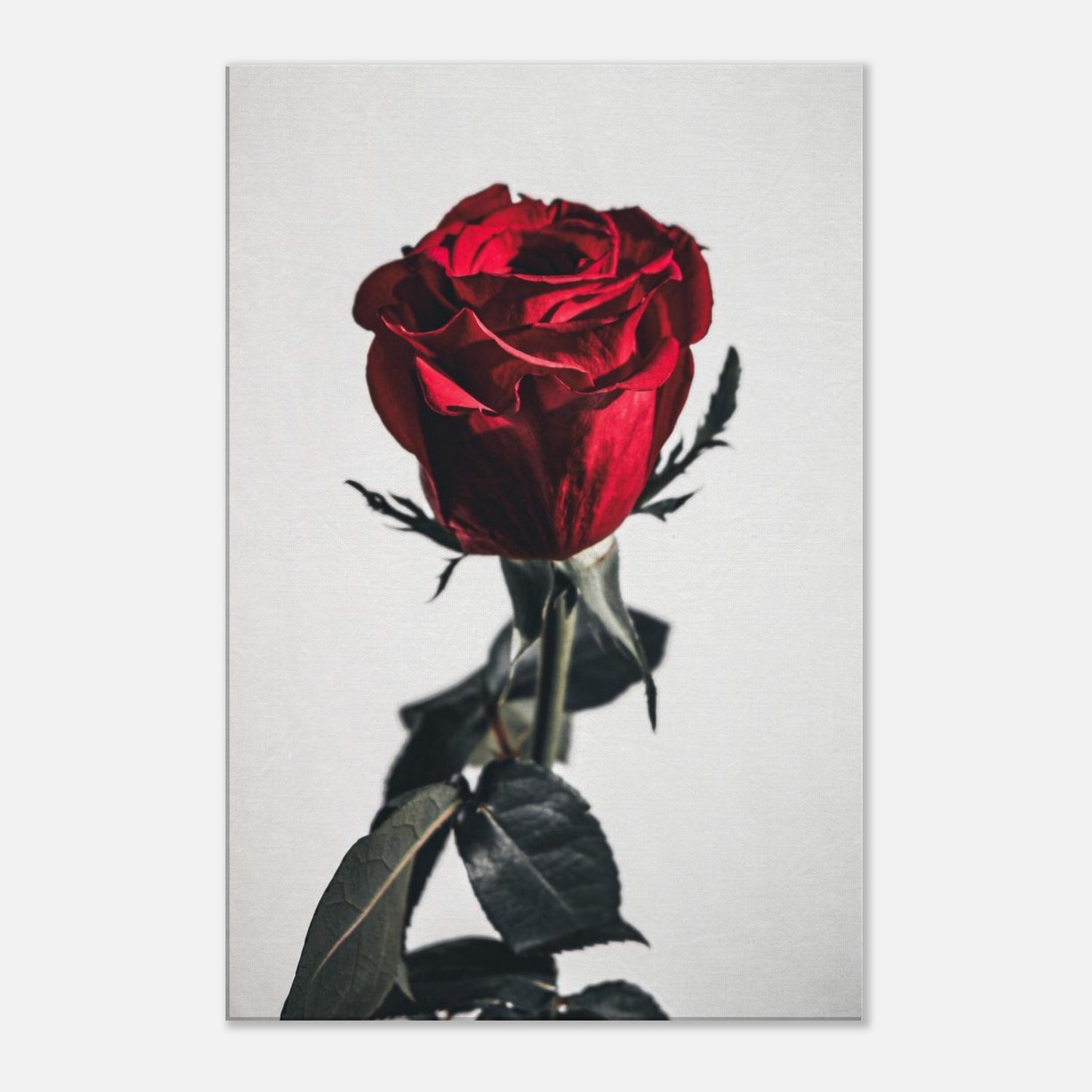 7c69f68a-04c4-40c7-9e67-aba9fde9c2bf