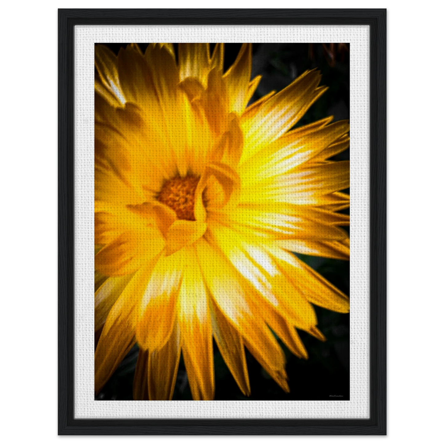 7c87111c-989a-4af0-8cea-df98ec520f46