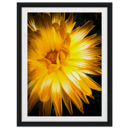 7c87111c-989a-4af0-8cea-df98ec520f46