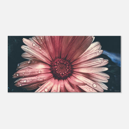 7c926c6b-0e19-4443-84af-d2e0b78115a5