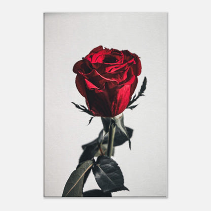 7c956a0f-48d0-4a38-9f89-976ff58aecac