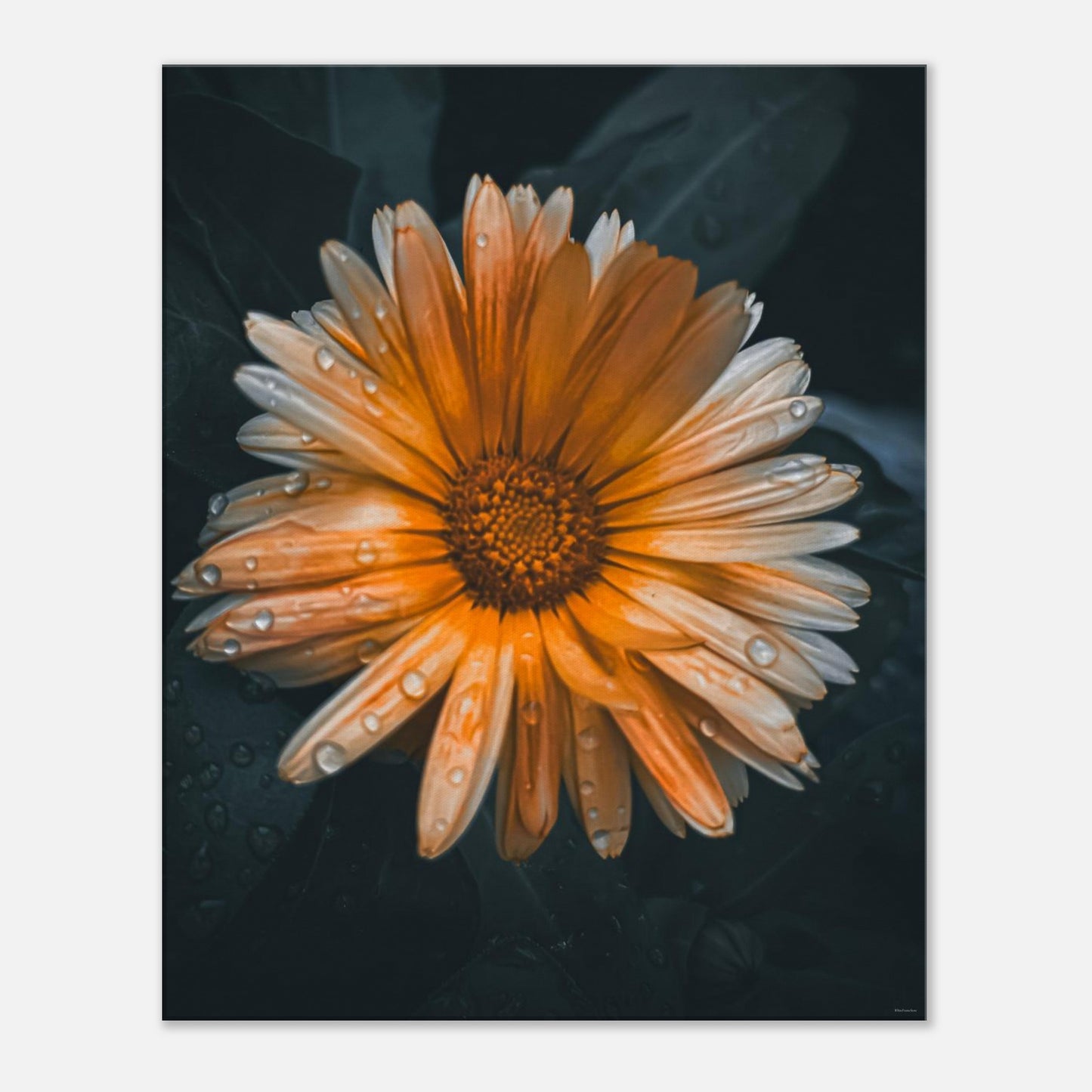 7c9a2dd8-7f5b-406a-ab67-038f29c9da39