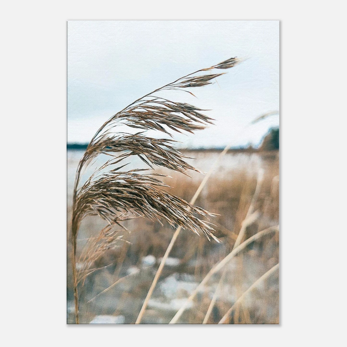 7cd62436-0c90-4b57-8eec-0436093bc1d6