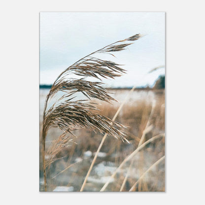 7cd62436-0c90-4b57-8eec-0436093bc1d6