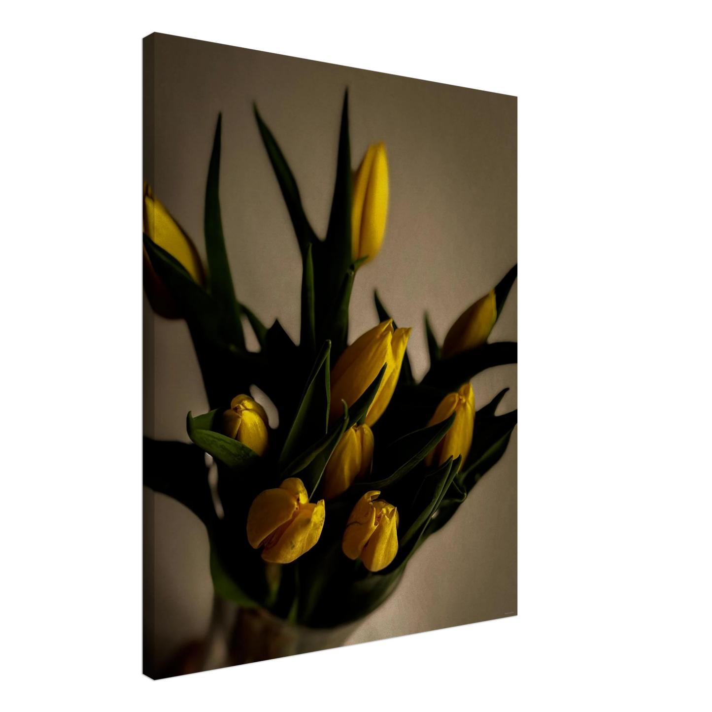 7d006dff-2928-48d9-851e-547ea4d6c3c6