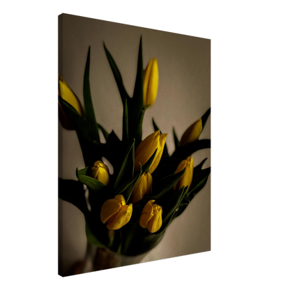 7d006dff-2928-48d9-851e-547ea4d6c3c6