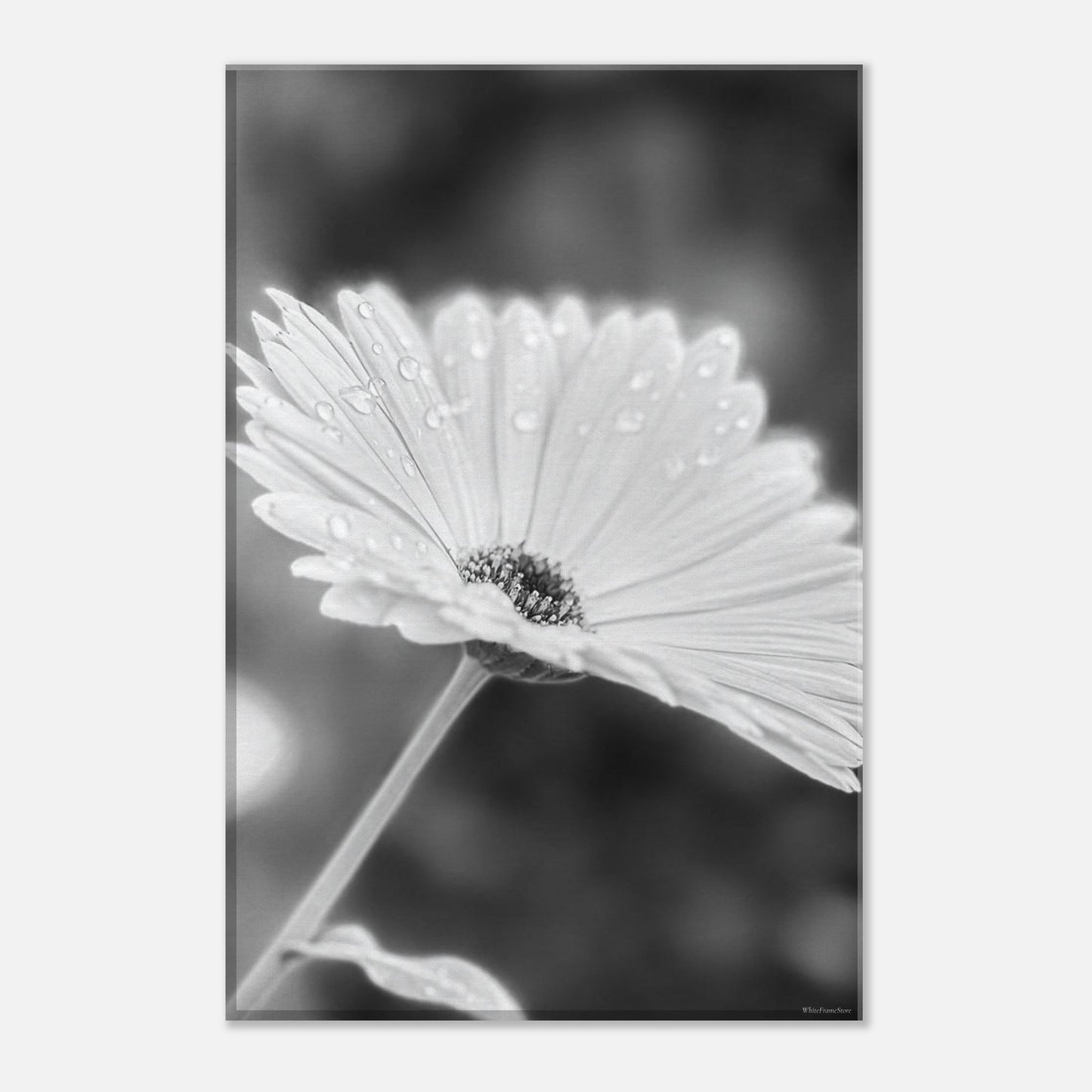 7d1dbcbc-6073-4da3-a94a-0d39c6a60a07