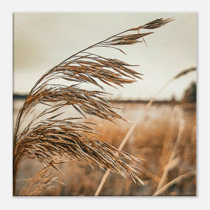 7d406923-c410-4244-958a-e50e3f418bcc