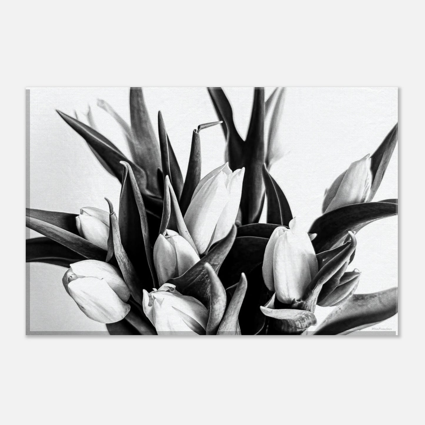 7d567899-33a6-4fe5-89dd-4a850696946e