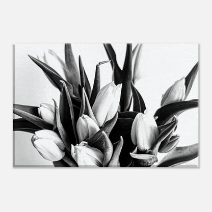 7d567899-33a6-4fe5-89dd-4a850696946e