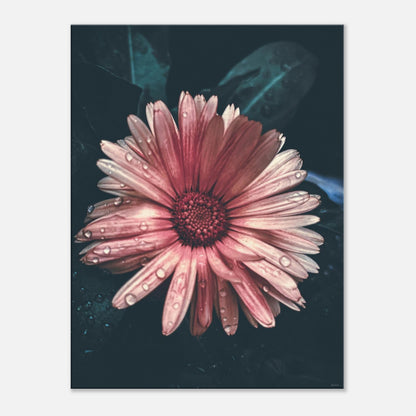 7d73722c-df4f-418c-9506-0269dc10d151