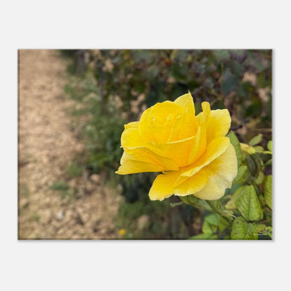 7d9384e8-5e2f-4b1a-a2ab-aa72e9d084d2