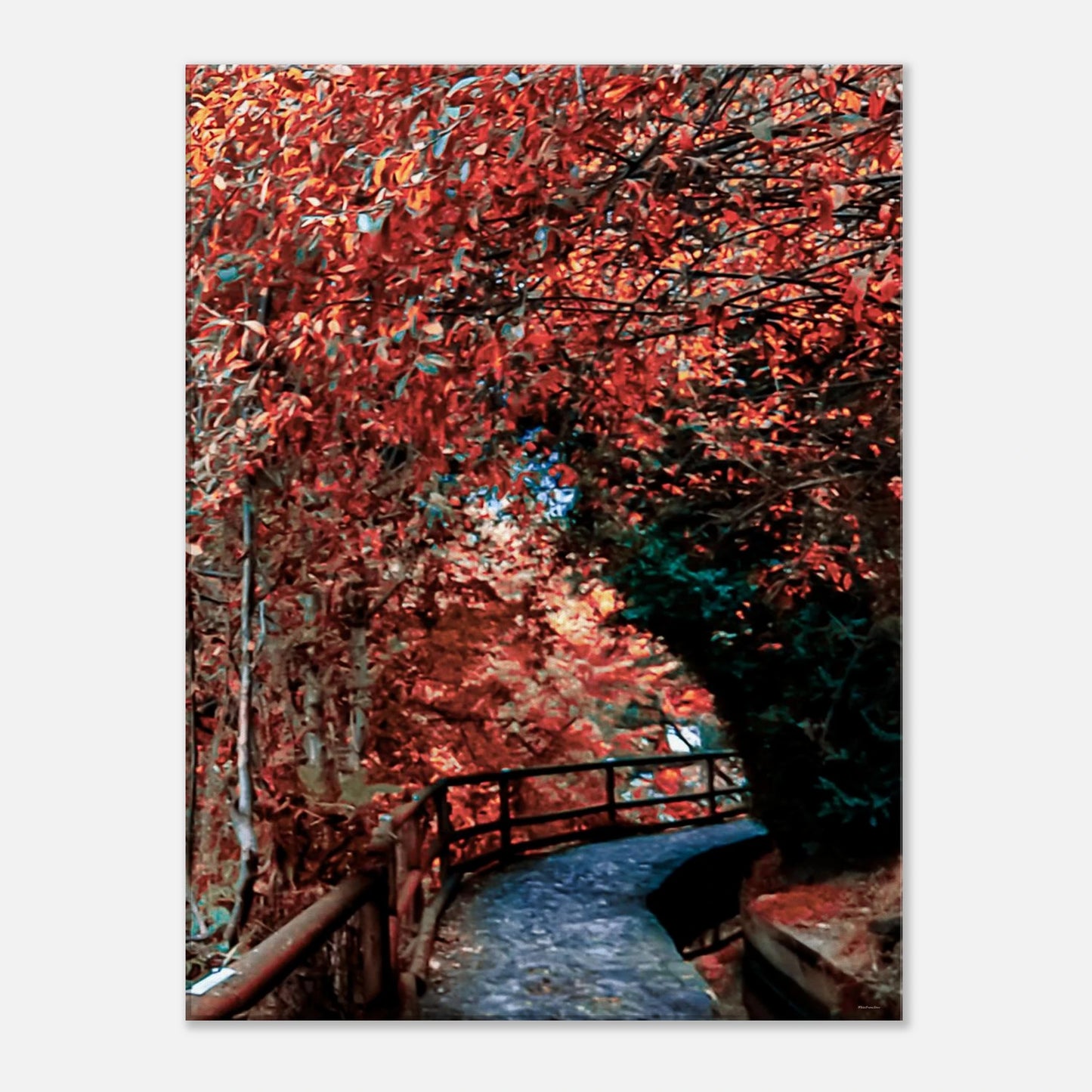 7d99b2e7-57d3-4d47-9030-1fef98261d13