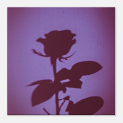 7dde1123-6d5d-4116-a9b8-73f5636d3779